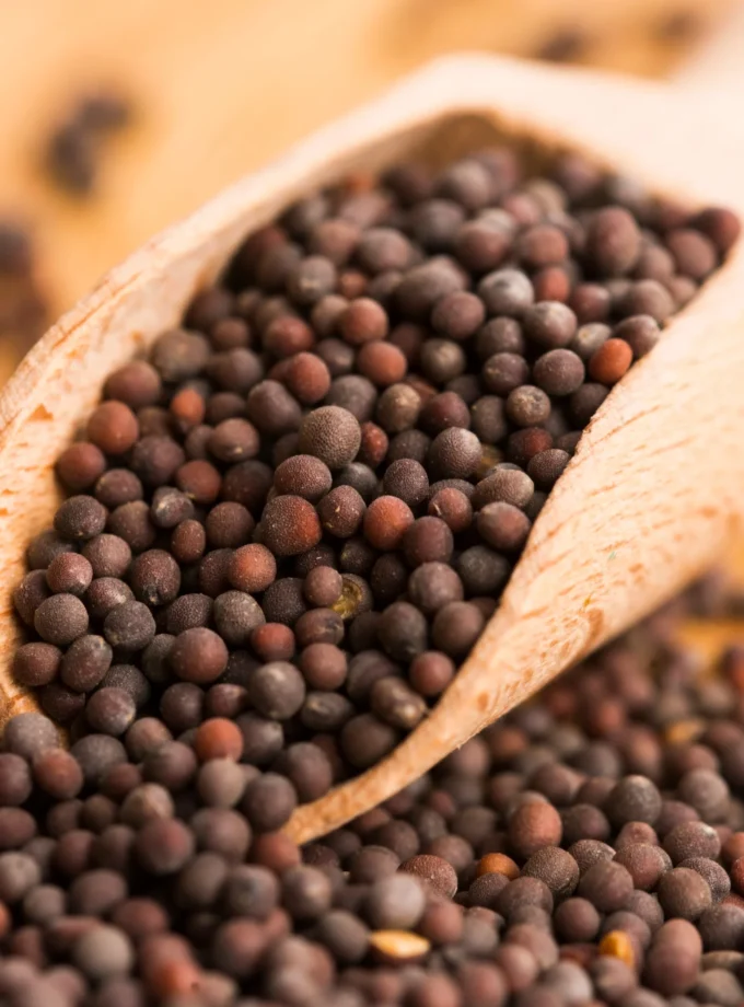 Mustard Seeds